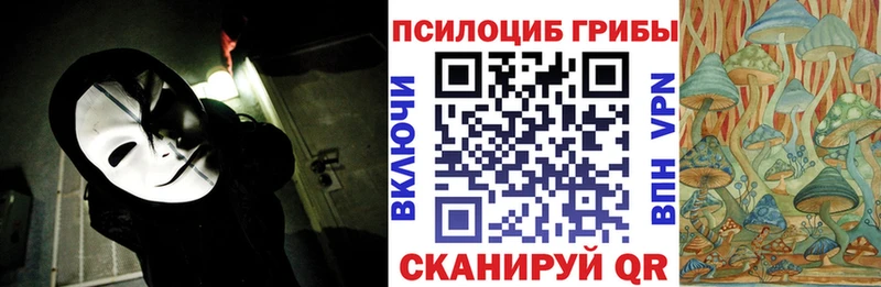 мориарти Telegram  blacksprut ТОР  Кстово  купить   Галлюциногенные грибы Psilocybe 